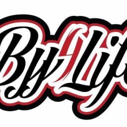 BJJ 4 Life logo