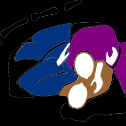 BJJ Academy Noord Nederland logo