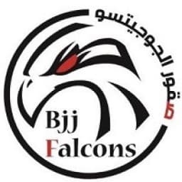 BJJ Falcons logo