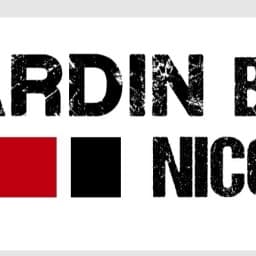 Bjj Nicoya logo