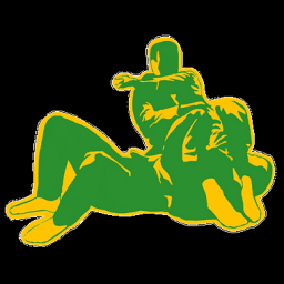 BJJ Nuernberg logo