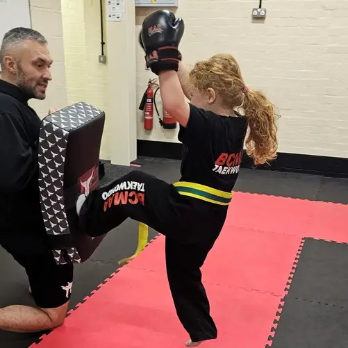 Main image of Black Country Martial Arts Academy (BCMAA)