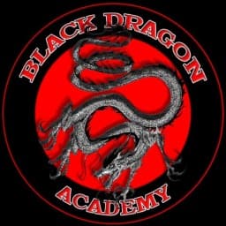 Black Dragon Academy Chico logo
