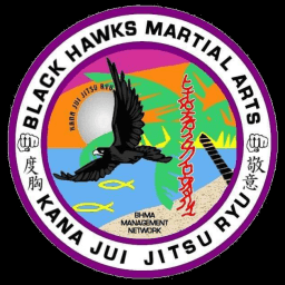 Black Hawks Martial Arts logo