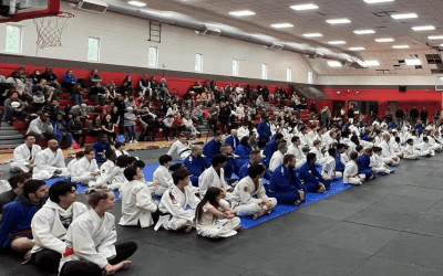 Black Ice Judo logo