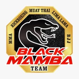 Black mamba Team C.A.R logo