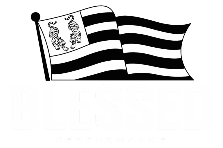 Blessed Performance - Thaiboksning i Aarhus logo