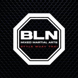 BLN MMA STYLE MUAY THAI logo