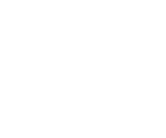 Blue Tigers Sports Center logo
