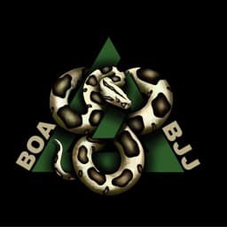 Boa Brazilian Jiu Jitsu logo
