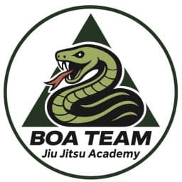 BOA TEAM logo
