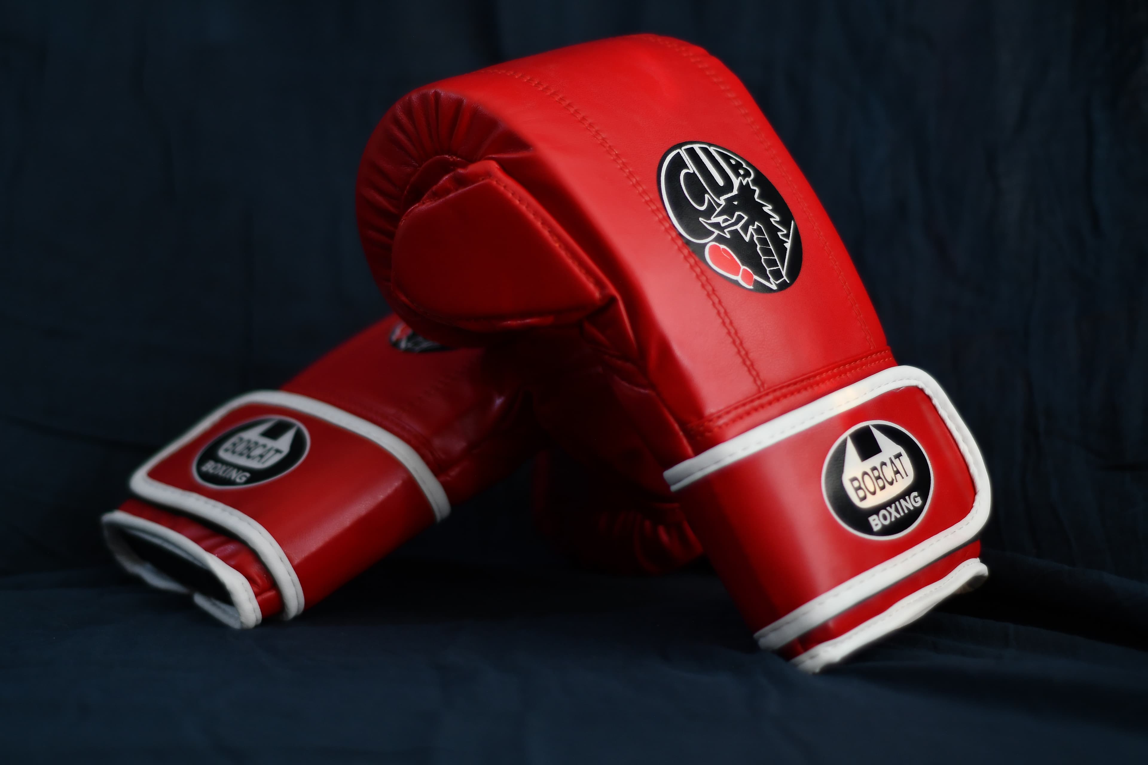 BOBCAT BOXING Cardiff | Gym, Club, 1:1 Coaching & Shop logo