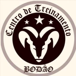 Bodao team logo