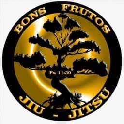 Bons Frutos - CT JUNINHO logo