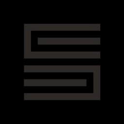 BORZ FURY logo