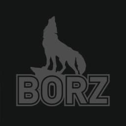 BORZ_SCHOOL logo