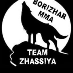 Borzhar MMA logo