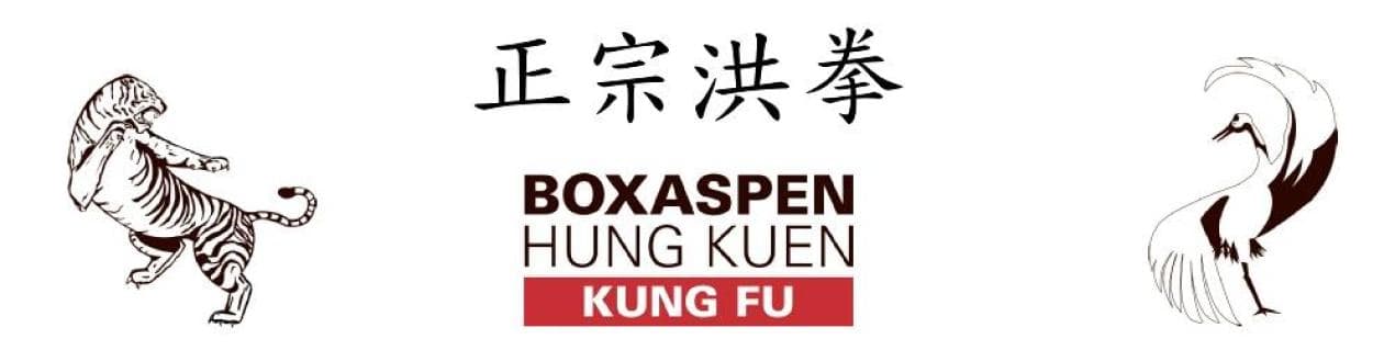 Boxaspen Hung Kuen Kung Fu logo