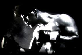 Boxing club logo