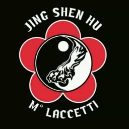 BOXING SHAOLIN TEAM logo