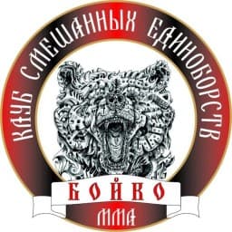 Boyko mma logo