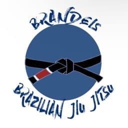 Brandeis BJJ logo