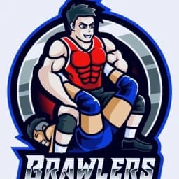 Brawlers Brazilian Jiu-jitsu logo