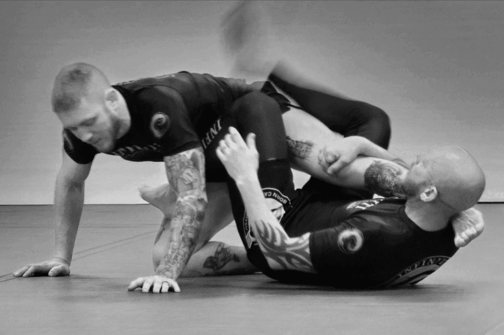 Brazilian Jiu - Jitsu logo