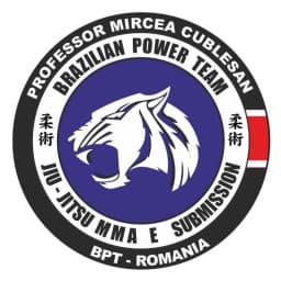 Brazilian Power Team Ukraine logo