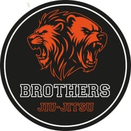 Brothers jiu-jitsu logo