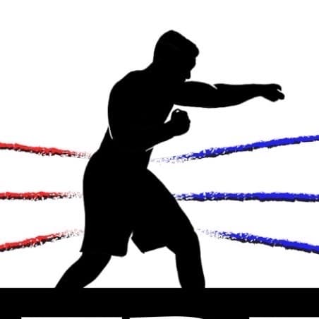 BTDT Boxing Program logo