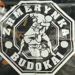 Budokai logo