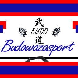 Budowazasport logo