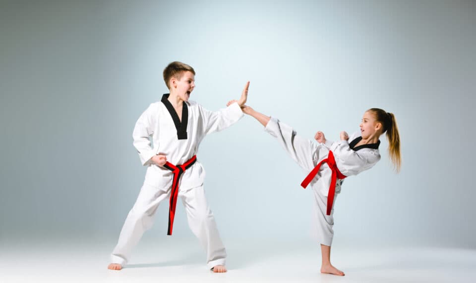 Main image of Built By Martial Arts