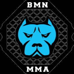 Bully Me Now MMA logo