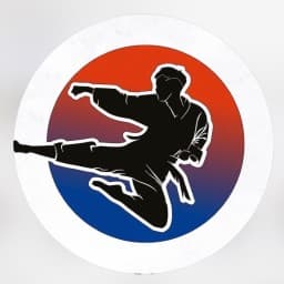 Buraimi Karate Academy logo