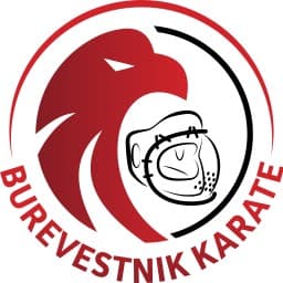 Burevestnik Koshiki Karate Club logo