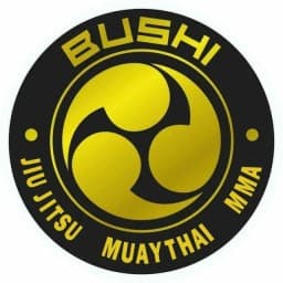 Bushi Dojo logo