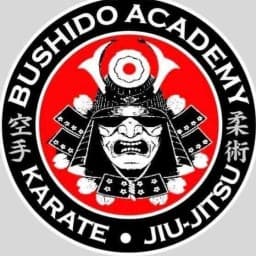 Bushido Academy Kingsport logo