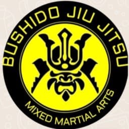 Bushido jiu jitsu academy logo