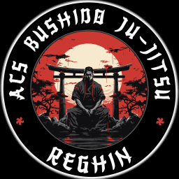 Bushido Ju-jistu Reghin logo