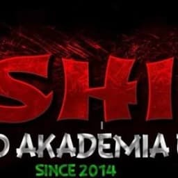 Bushido Kempo Akadémia logo