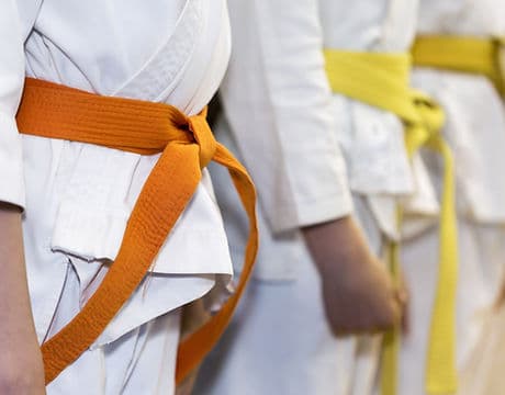 Main image of Bushido Martial Arts Association