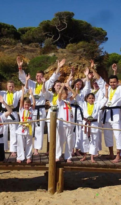 Bushido Martial Arts Association logo