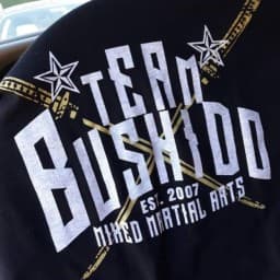 Bushido Martial Arts & Fitness logo