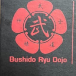 Bushido Ryu Dojo -Krav Maga, Karate, Jujitsu, Dania Beach Fort Lauderdale logo