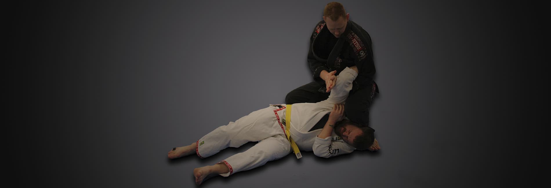 Bushido Ryu Martial Arts logo