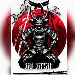 Bushido.team /Templo santa fe logo