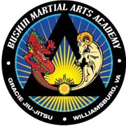 Bushin Martial Arts Academy-Williamsburg logo