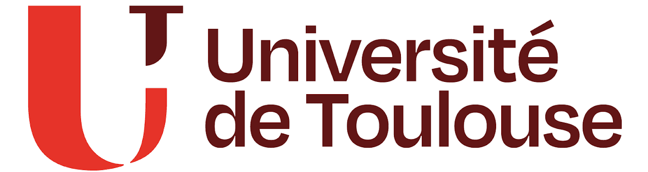 Main image of Canne de Combat Toulouse